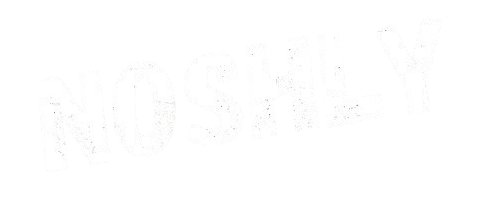 Noshlylimited.com